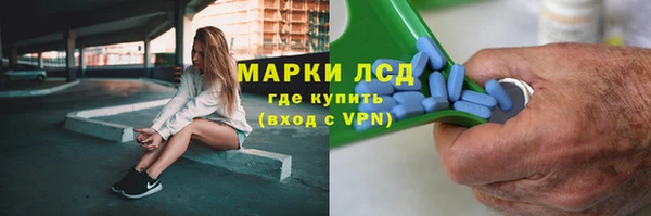 ГАЛЛЮЦИНОГЕННЫЕ ГРИБЫ Алексин