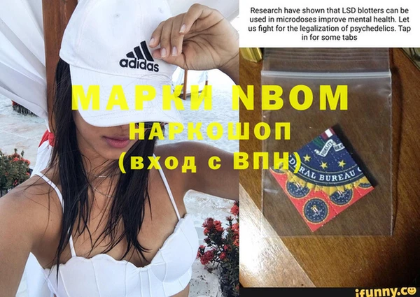 ГАЛЛЮЦИНОГЕННЫЕ ГРИБЫ Алексин