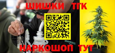 индика Рязань