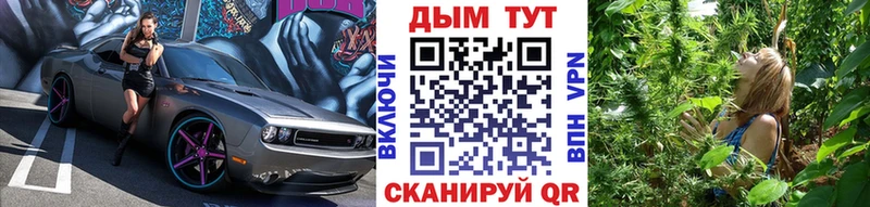 Марихуана сатива Новочеркасск